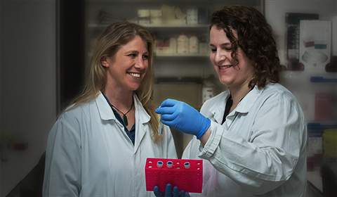 Ingenio Jessie&Whitney